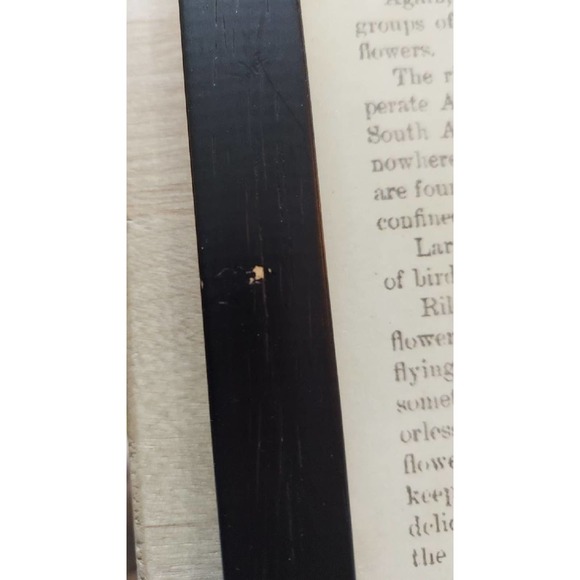 WORLD MARKET Listen to Your Heart - Picture 3 of 6